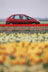 Citro�n Xsara Picasso in a field �PSA Peugeot Citro�n
