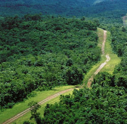 The width of the cut through the land was only 18 m wide �Total