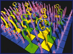 Hybridized probes