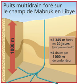 Diagram illustrating a well multidrain drilled �TOTAL Michel Berget