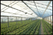 Green house �ATOFINA