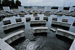 Sight of a biological river, allowing the study of pollution by industrial wastes �Atofina/Marco Dufour